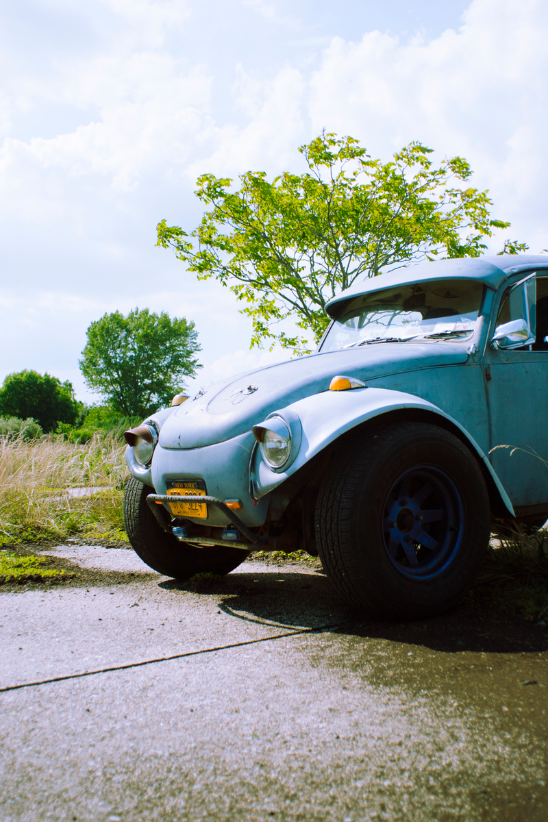 The Baja standing somewhat proud. Photo Credit: Raphael Orlove